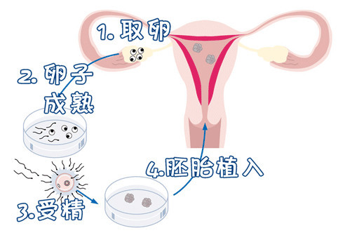 层流实验室